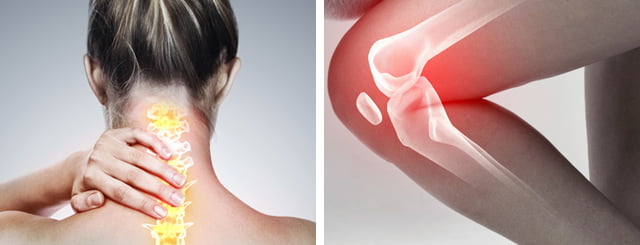 Orthopedics