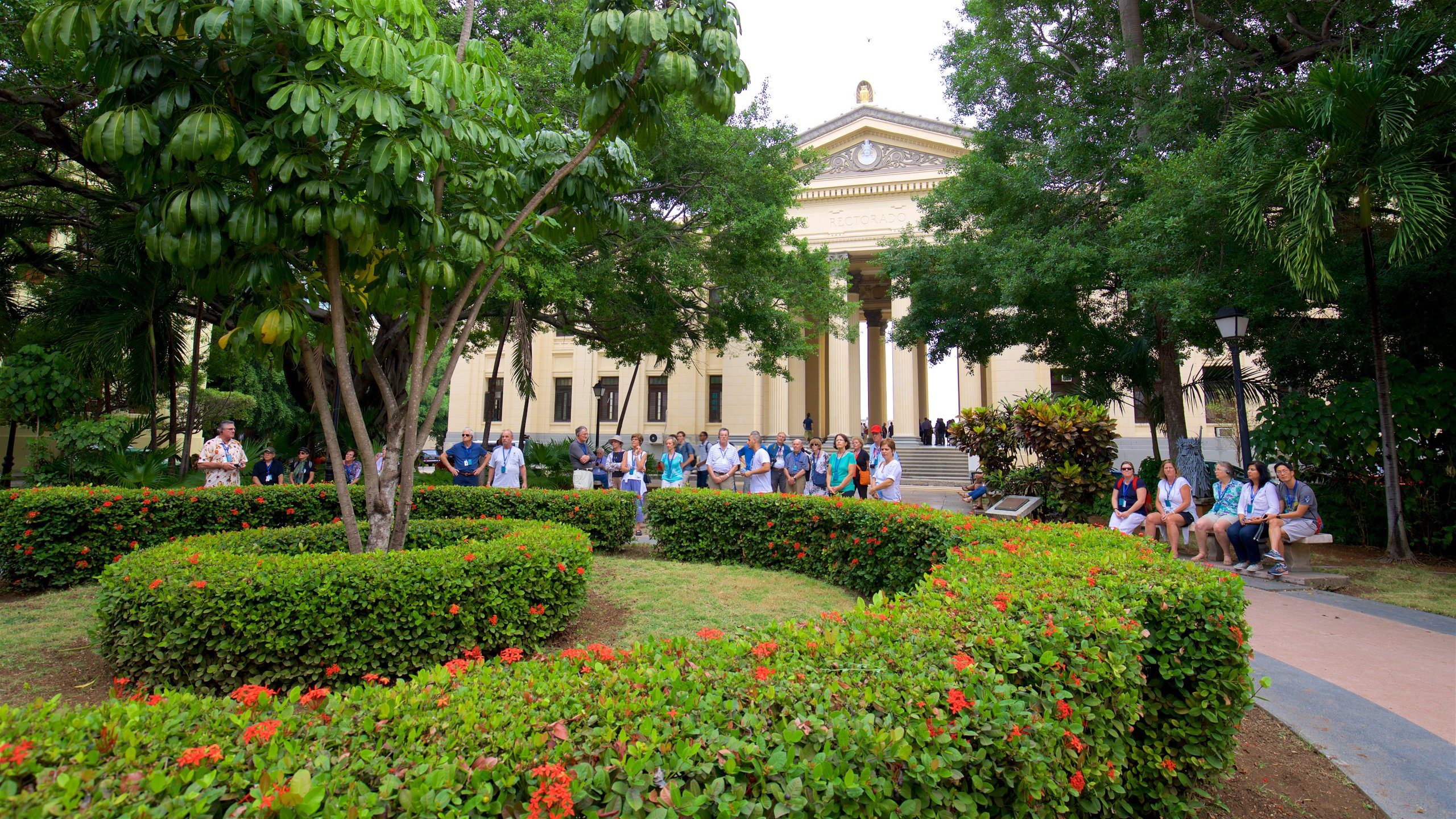 University of havana